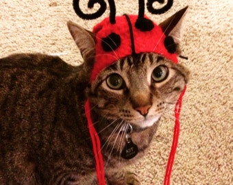 Ladybug Cat Hat Costume