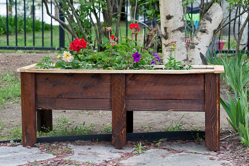 May include: A rectangular wooden planter box filled with colourful flowers. The planter is made of dark brown wood and has a light-coloured wooden trim around the top. The flowers include red, purple, and yellow blooms.