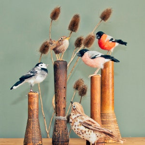 Flock - Tarjeta de felicitación