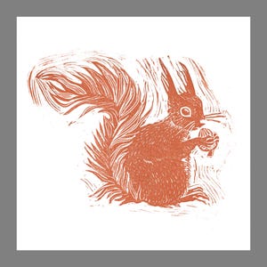 Squirrel Greetings Card