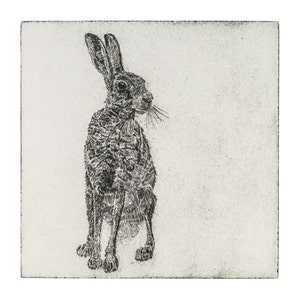 Lepus   Giclee Print