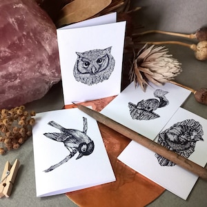 Puede incluir: Cuatro tarjetas de felicitación en blanco con ilustraciones en blanco y negro de un búho, un pájaro, una ardilla y un gato. Las tarjetas están sobre una superficie marrón con un lápiz de madera.