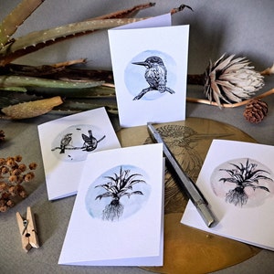 Printable Gift Card Set with Aloe, Kingfisher, Wagtail and Sparrow Artworks. A7 blank gift/greeting cards. 4 Different Cards on one A4.