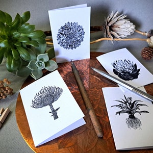 Botanical Gift Card Set with Aloe, Pincushion, Sunburst Aenonium and King Protea Artworks. A7 blank greeting cards. 4 Cards on one A4.