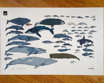 Whale Print: Sea Mammals of the North Atlantic
