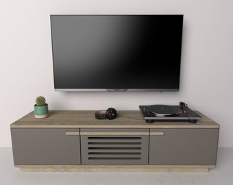 Modern TV console, sideboard, vinyl cabinet, media station.