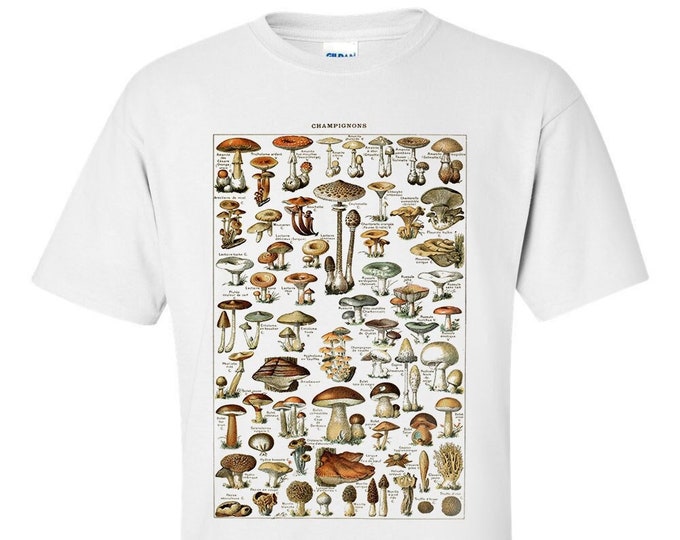 Champignons Mushrooms By Adolphe Millot Drawing Fine Art T-Shirt