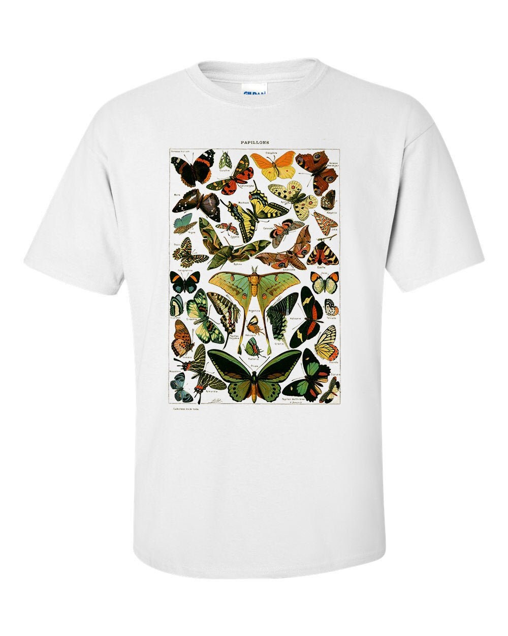 Image of Buterflies Papillons By Adolphe Millot Fine Art Mens T-Shirt