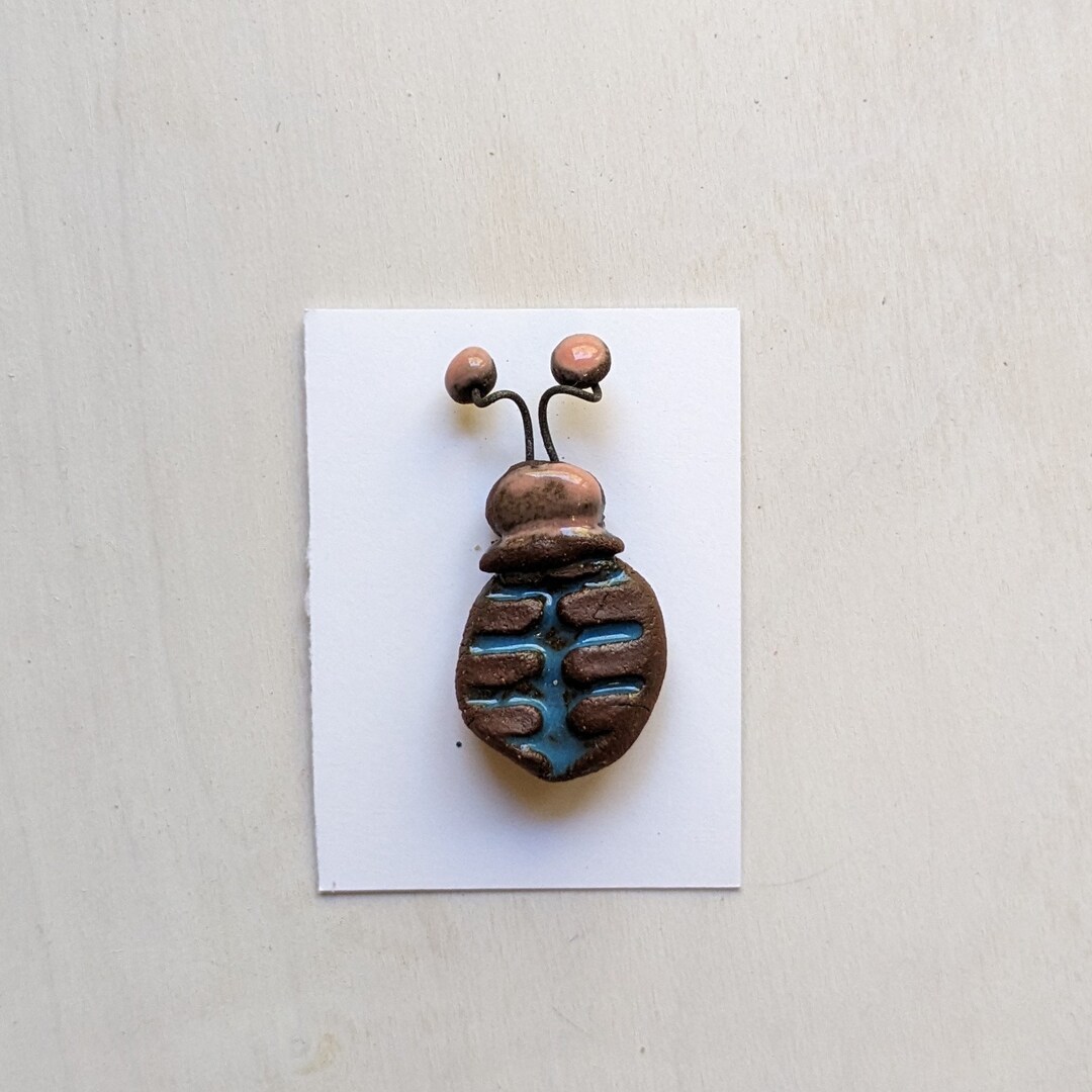 Bug Rare Earth Beetle Insect Etsy
