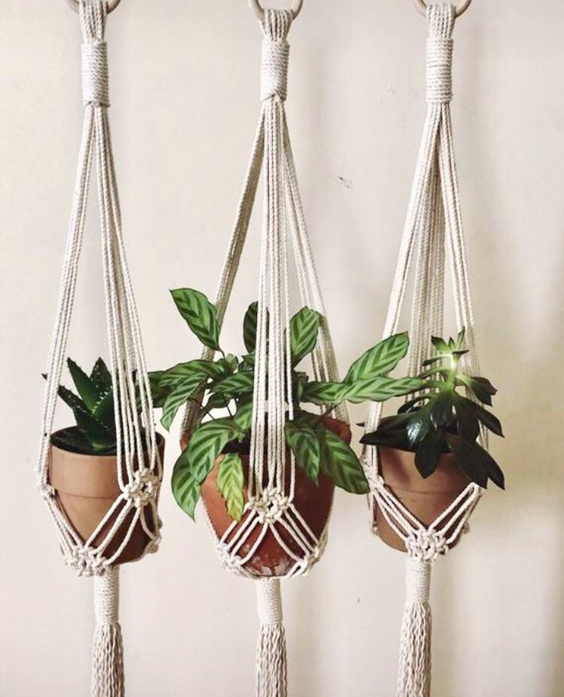 Rope plant hanger Etsy