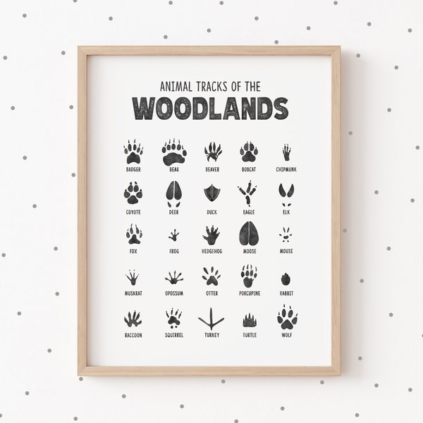 Woodland Nursery Decor, Animal Tracks Print, Printable Wall Art, Woodland Theme Nursery Wall Art, Outdoor Adventure, Rustic Decor, Boy Girl