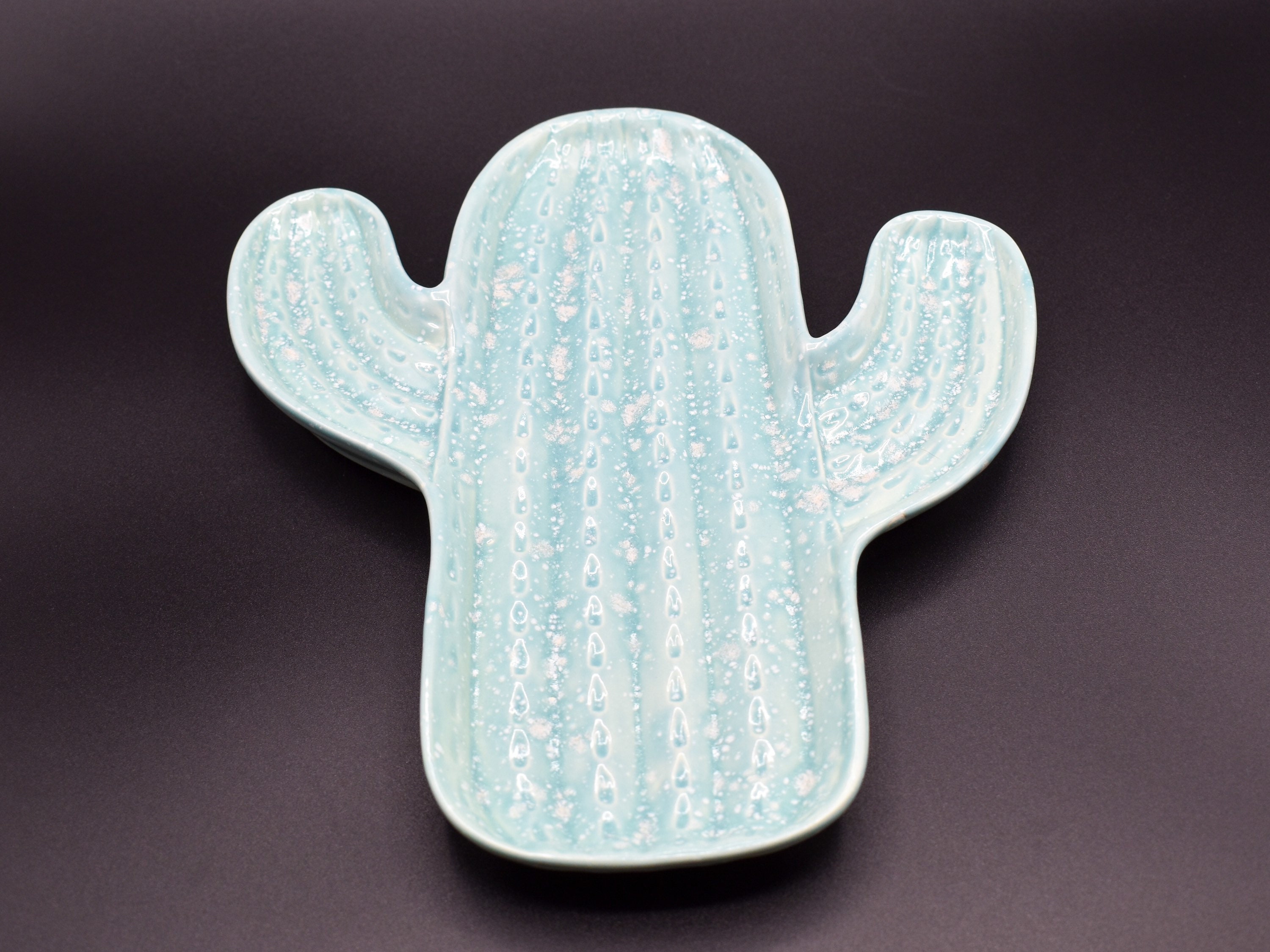 Ceramic Cactus Plate Seafoam Cactus Plate Cactus Dish Etsy