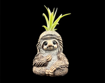 Sloth Air Plant Holder - Ceramic Sloth Air Plant Holder - Hand Painted Sloth - Sloth Planter - Plant Not Included