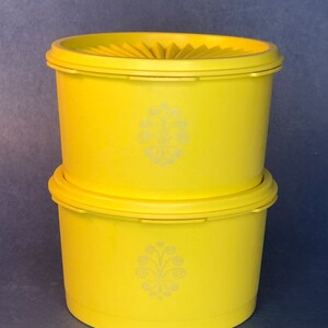 Vintage Tupperware Small Canister Set of Two