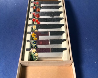 May include: A box of vintage glass slides with floral designs. The slides are in a cardboard box with a white interior. The slides are arranged in a row, with the floral designs facing forward.