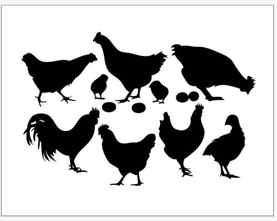 Huhn Henne Kuken Ei Hahn Vektor Clipart Pdf Svg Dxf Eps Png Etsy