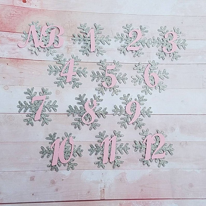Winter Birthday Decor First Birthday Winter Onederland Monthly Banner Winter Monthly Banner Snowflake Party Snowflake Monthly Banner