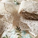 see more listings in the PETTICOAT LACE EYELET section