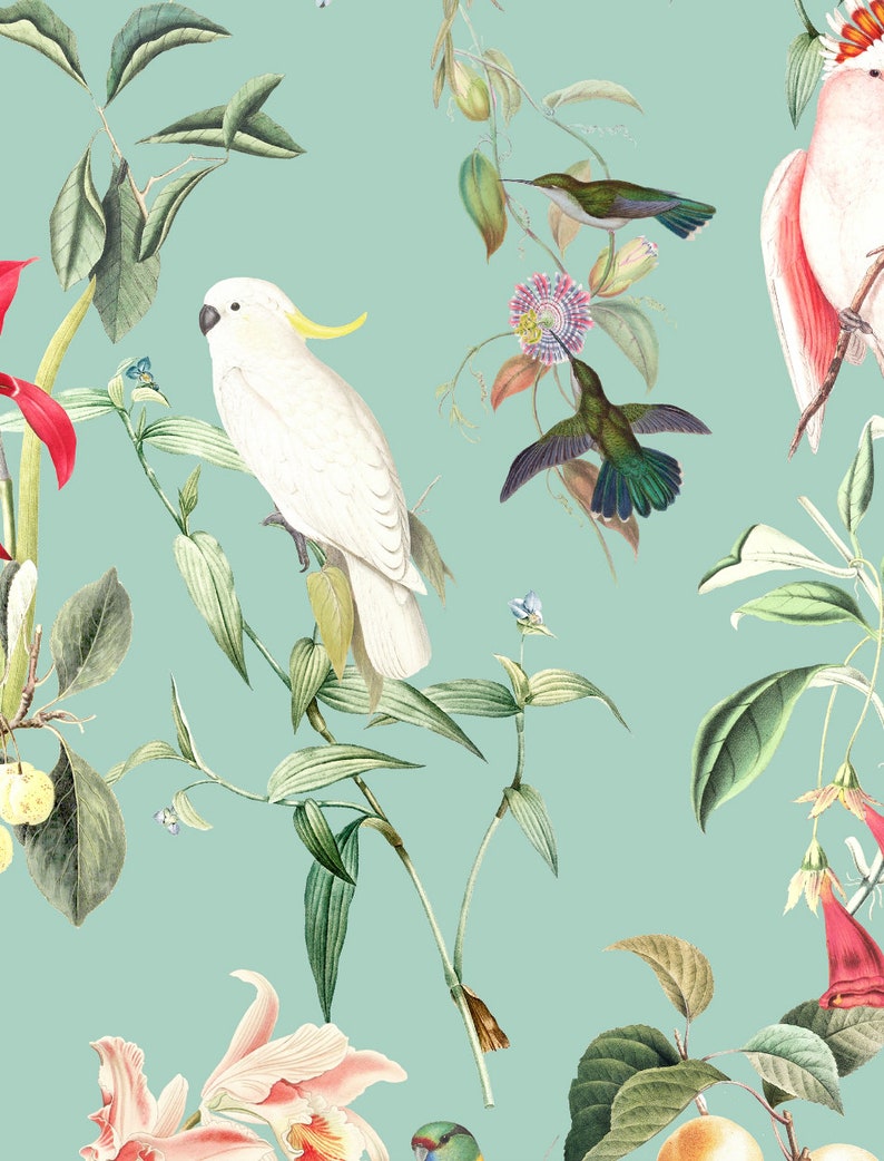 Unique design premium quality Wallpaper BIRDS OF PARADISE sea mint