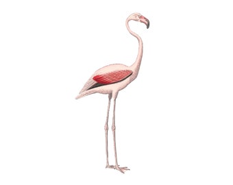 Separate Wall Sticker - Flamingo