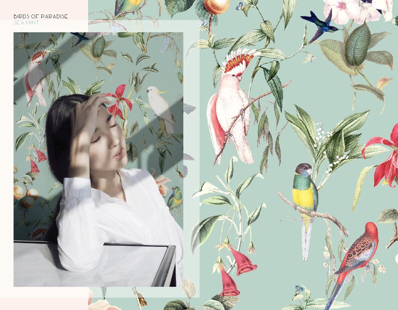 Unique design premium quality Wallpaper BIRDS OF PARADISE sea mint
