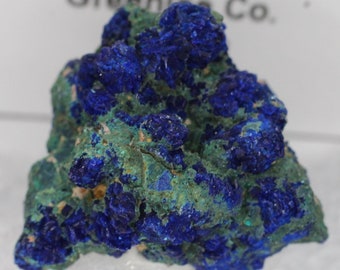 Azurite on Malachite Crystal Crystals Mineral Display Specimen - Amazing green and blue clusters - From: Morenci Mine, Arizona