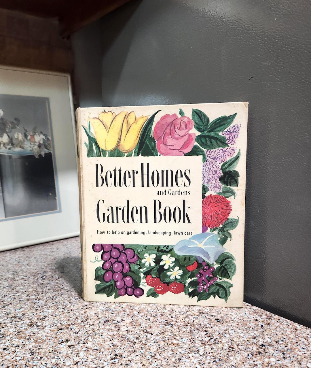 Better Homes and Gardens Garden Book, 5 Ring Hardcover Binder, 1954 ...