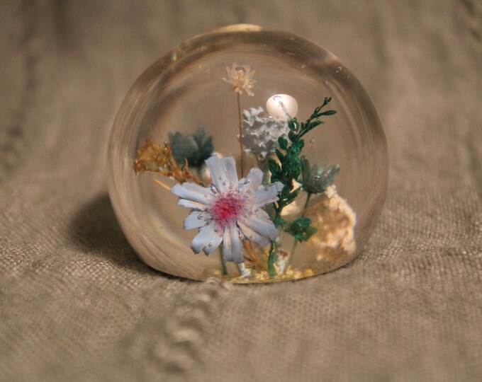 Lucite Paperweight With Flowers Botanical Gems by Peeties Etsy