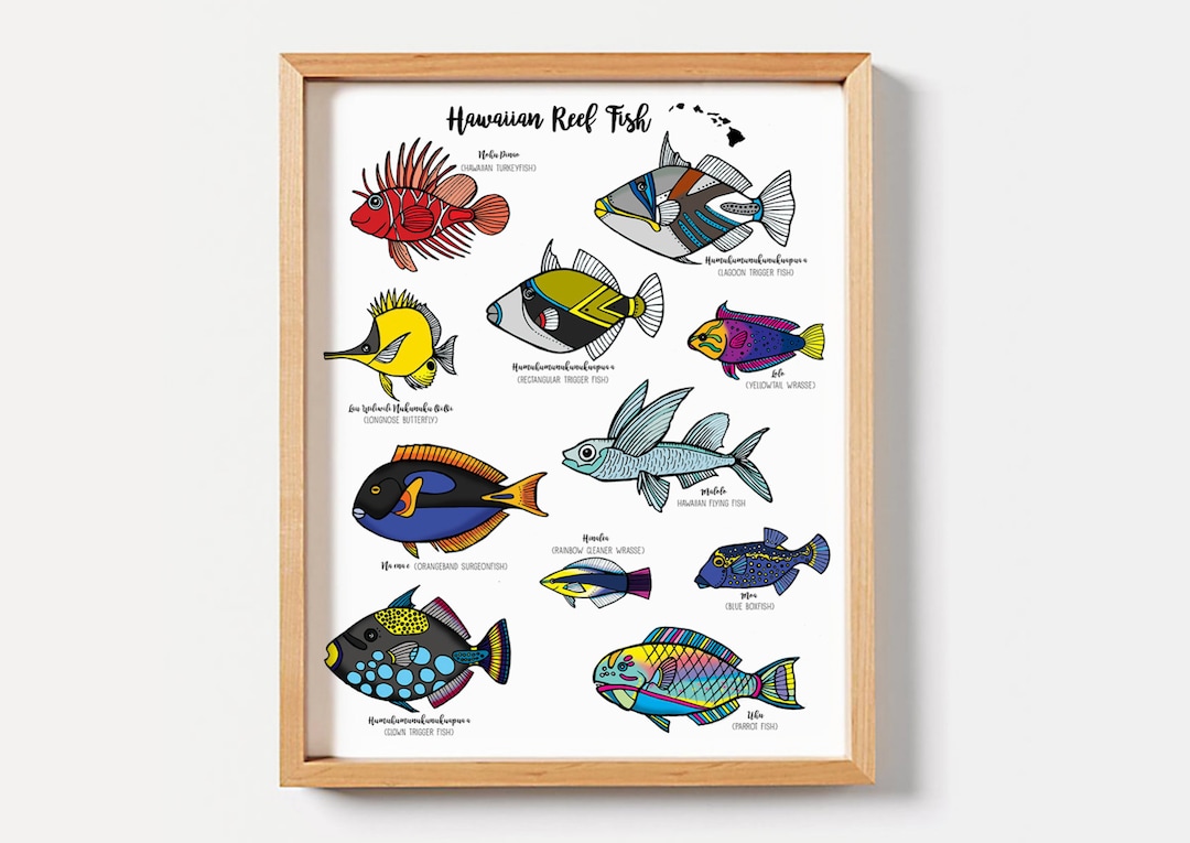 ハワイ魚拓、フムフムヌクヌクアプア、ハワイギフト、スキューバ