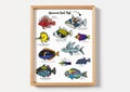 Hawaii Fish print, Humuhumunukunukuapuaa, Hawaii gift, scuba diving hawaii print product logo