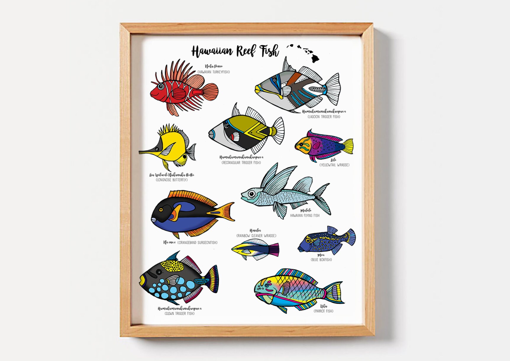 ハワイ魚拓、フムフムヌクヌクアプア、ハワイギフト、スキューバ