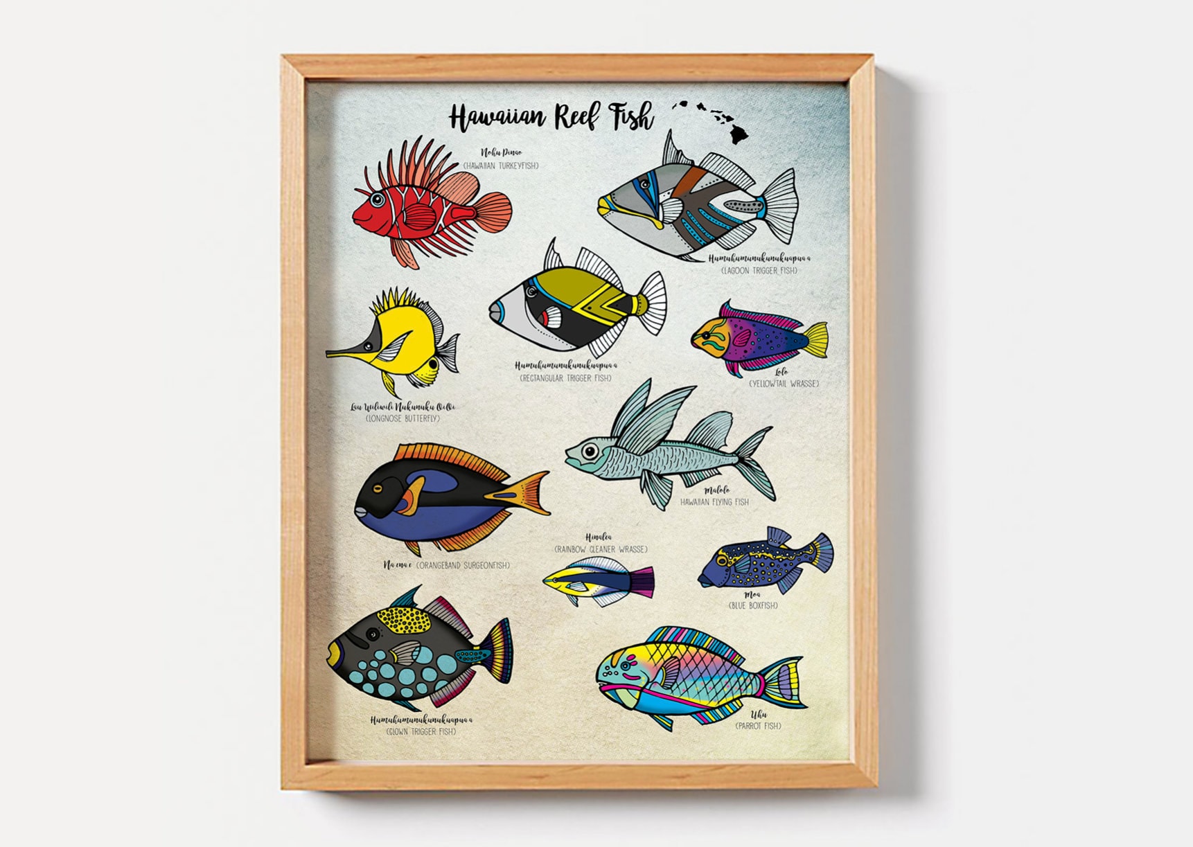 希少】HAWAIIAN FISHESハワイの魚の画集 洋書 Hawaiian Fishes | James