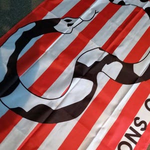 Sons of Liberty Flag Dead Cell Solidus Snake From Metal Gear Solid 2