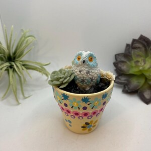 May include: A small, hand-painted ceramic pot with a floral design in pink, blue, and yellow. The pot contains a small succulent and a decorative owl figurine with blue and white feathers and orange eyes. The pot is approximately 3 inches tall.