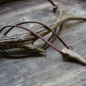 Antler tip pendant, antler tip necklace, men&#39;s antler tip necklace, antler tip on leather cord, small antler tip on suede cord, antler tip