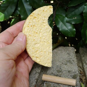 May include: A yellow sponge with a bite taken out of it. The sponge is being held in a hand. A wooden dowel is in the background.
