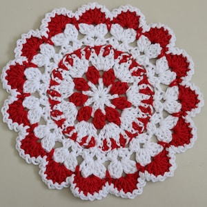 Easy Crochet Christmas Flower Dishcloth PATTERN PDF