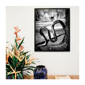 LETRA M / Fotografía de letras del alfabeto / Arte de nombre de familia personalizado / Fotos individuales sin marco / Regalo de boda / Regalo de agente inmobiliario / Regalo de bebé
