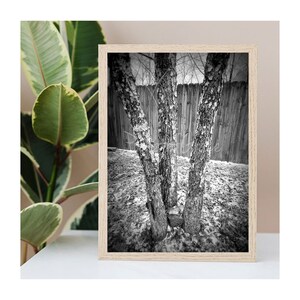 LETRA W / Fotografía de letras del alfabeto / Arte de nombre de familia personalizado / Fotos individuales sin marco / Regalo de boda / Regalo de agente inmobiliario / Regalo de bebé