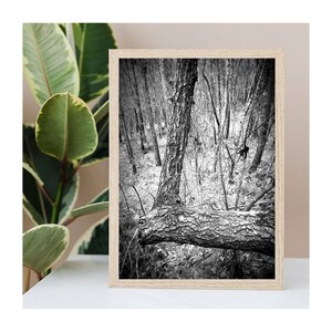 LETRA L | Fotografia de letras do alfabeto | Arte personalizada do nome de família | Fotos individuais sem moldura | Presente de casamento | Presente para corretor de imóveis | Presente de bebê