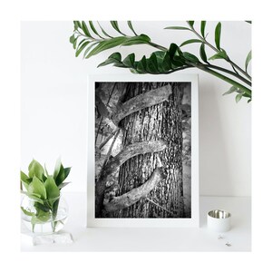 LETRA E / Fotografía de letras del alfabeto / Arte de nombre de familia personalizado / Fotos individuales sin marco / Regalo de boda / Regalo de agente inmobiliario / Regalo de bebé