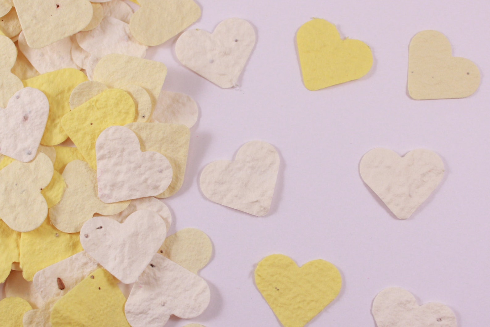 Plantable Heart Wedding Confetti Cream / Yellows Plantable Etsy