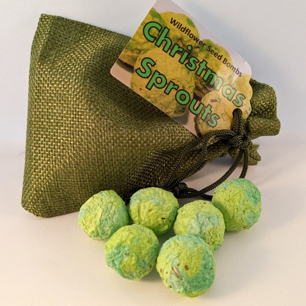 Christmas Sprouts Seed Bombs