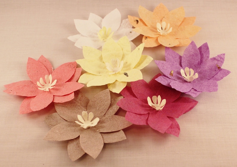 100 Lotus Flower Wedding Favour Plantable Paper Eco Friendly Etsy