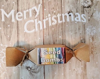 Seed Bomb Christmas Cracker Gift Box.  Gardening Gift.