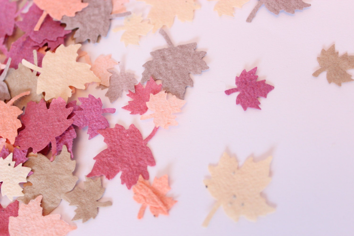 Plantable Maple Leaf Wedding Confetti Autumn wedding colours Etsy