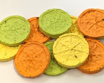 Oranges, Lemons and Limes themed Seed Bombs (citrus) - Wildflower seed mix