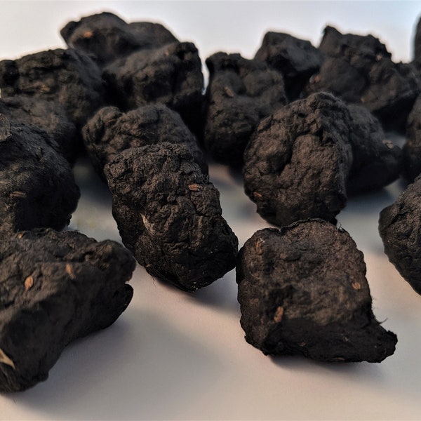 Coal for Christmas Seed Bomb for those on Santa's Naughty List