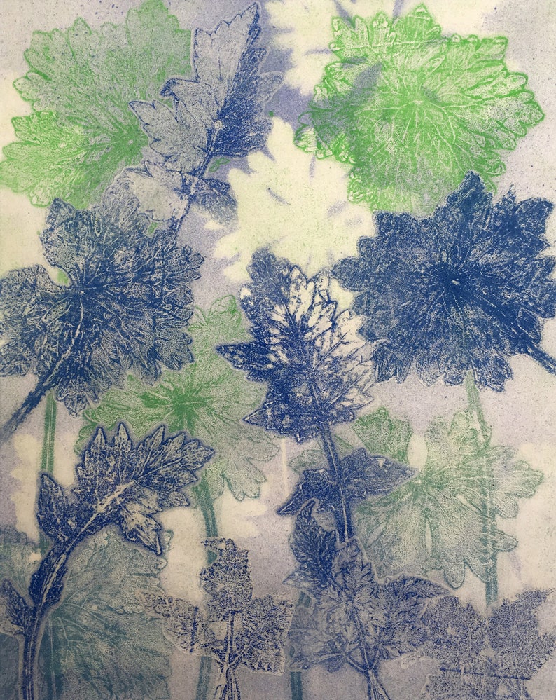 original monoprint-collage cranesbill and other leaves Nature print