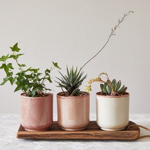 Set of 3 Succulent Ceramic Planters, Terracotta Indoor/Outdoor Planter, Modern Peach Plant Pottery Pot, Cream Mini Pot Gift, Herbs Vessel